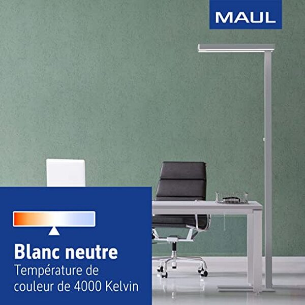 Découvrez l'efficacité du lampadaire LED MAULjaval pour améliorer votre environnement de travail et optimiser votre éclairage de bureau